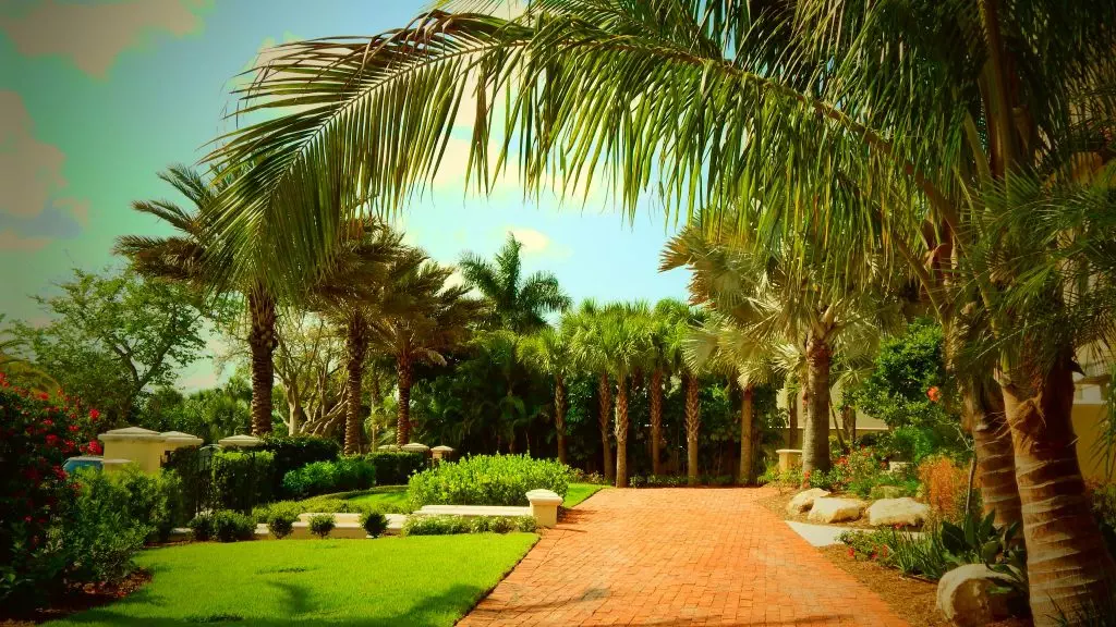 Sarasota landscape designers irrigation swimming pool garden venice bradenton affordable